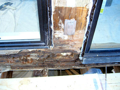 Dry Rot Repair Services