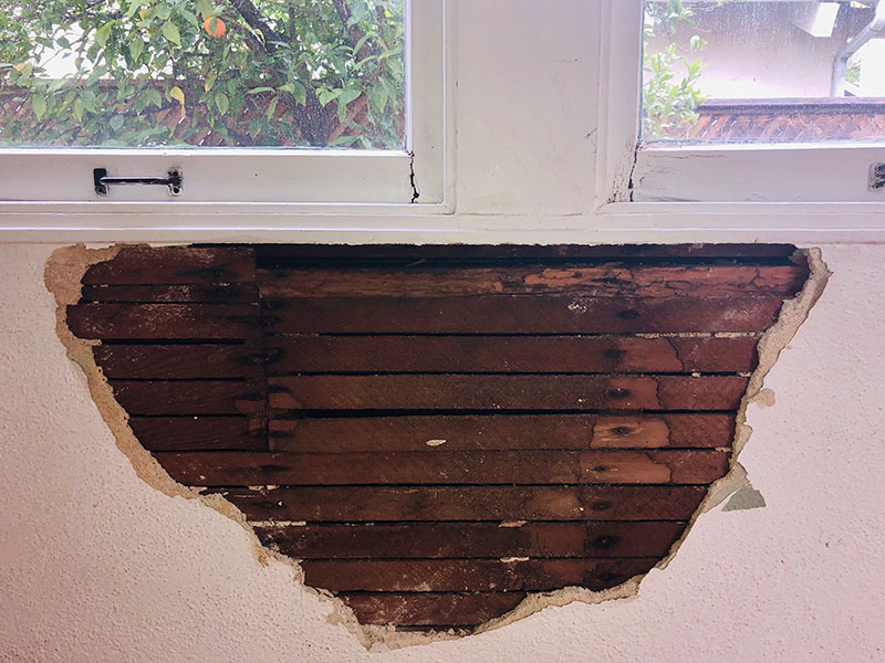 Dry Rot Repair